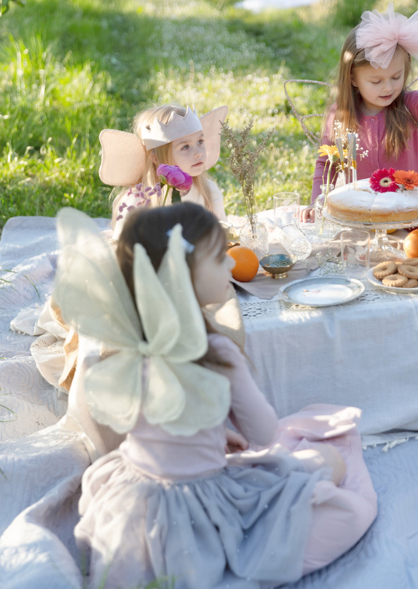 Fairy wings Anaisa Sparkling gold