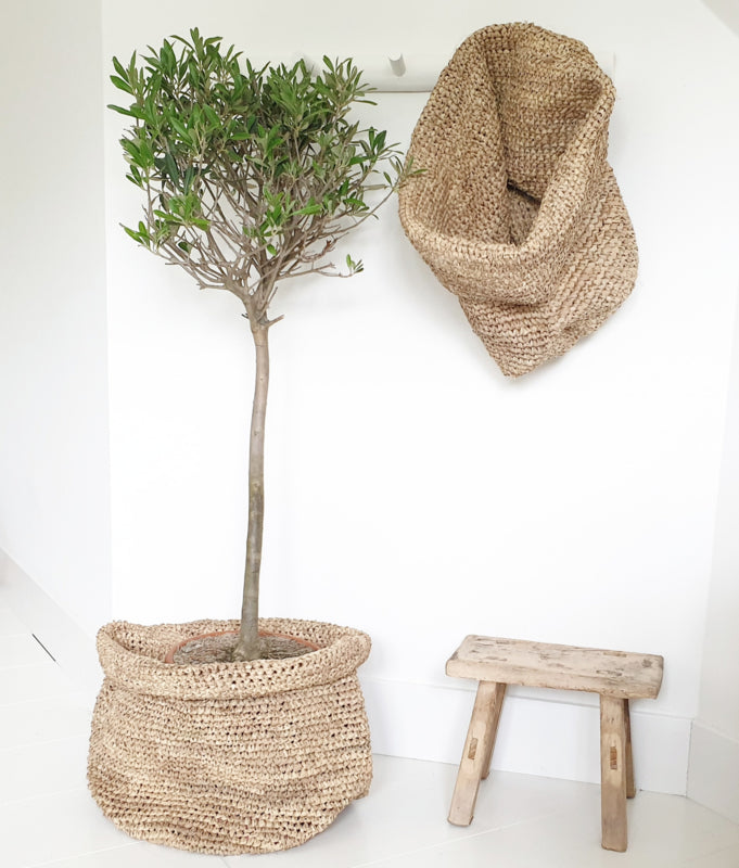 Basket Palmblad