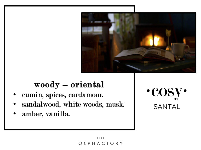 The Olphactory geurstokjes Cosy-Santal