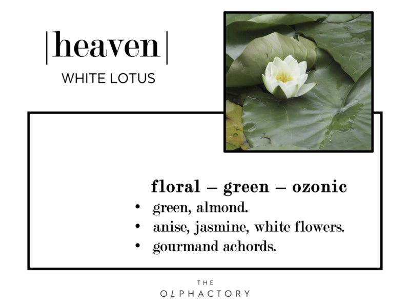 The Olphactory geurstokjes Heaven-White Lotus