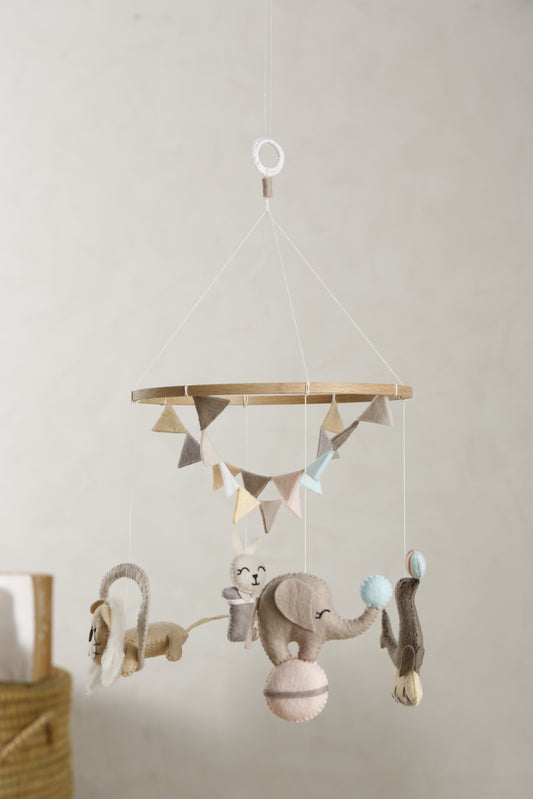 Mobiel Circus 2Stories