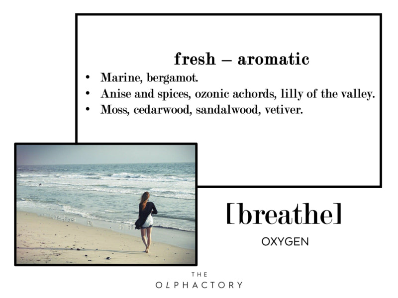 The Olphactory geurstokjes Breathe-Oxygen